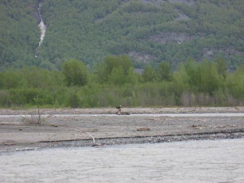 1973 Ford Ranchero - An eagle stands on a log in a riverbed, with a forested mountain and a distant waterfall behind it.