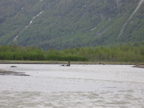 1973 Ford Ranchero - A person sits in a shallow river, surrounded by nature.