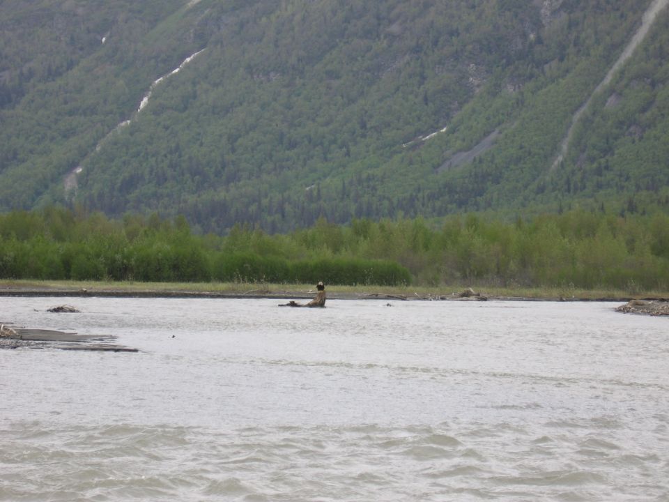 Person sitting in a river with trees and a mountain in the background