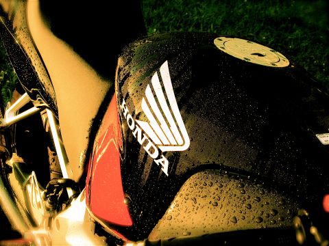2004 Honda CBR600F photo
