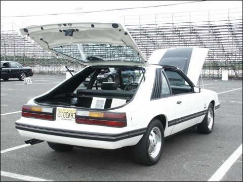 2001 Mercury Grand Marquis - A white Ford Mustang is parked with its trunk and hood open, displaying a license plate that reads STOCK83.