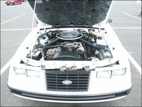 2001 Mercury Grand Marquis - The engine bay of a white Ford is displayed, a 5.0 Liter 4V HO engine and a prominent Ford grille.