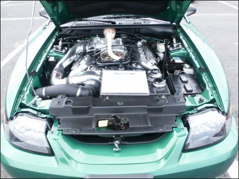 2001 Mercury Grand Marquis - The engine bay of a green Ford Mustang Cobra, a prominent cobra-shaped intake tube and custom modifications.