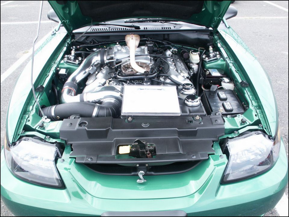 Green Ford Mustang Cobra engine bay with a cobra-shaped intake tube