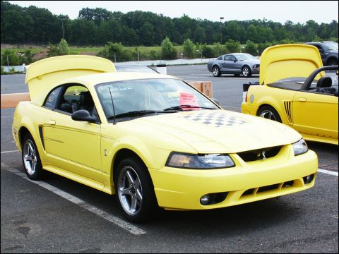 2001 Mercury Grand Marquis - Two yellow Ford Mustangs are parked at an outdoor car show, one with its hood and trunk open.