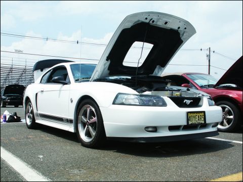 2001 Mercury Grand Marquis - White Ford Mustang at a car show, hood open, with other vehicles nearby.