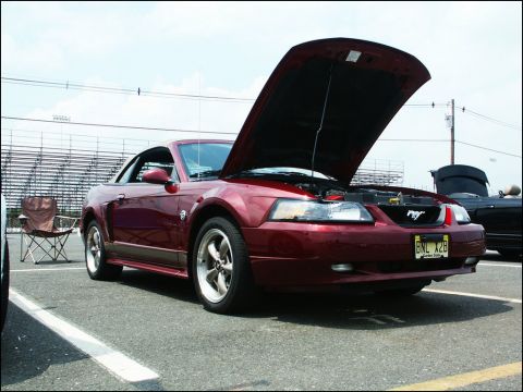 2001 Mercury Grand Marquis - A red Ford Mustang is parked with its hood open, revealing the engine compartment and a horse emblem.