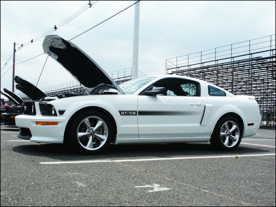 White Ford Mustang GT/CS, side view, hoods open. 2005 model