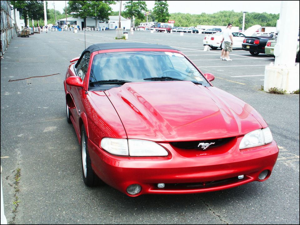 Red convertible Mustang, front view. Hood scoop and pony emblem visible