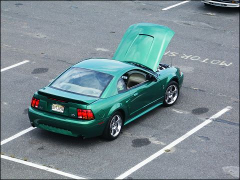 2001 Mercury Grand Marquis - A green 2001 Ford Mustang SVT Cobra is parked with its hood open, revealing the engine bay.