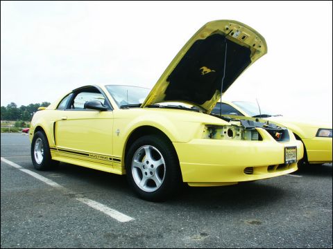 2001 Mercury Grand Marquis - Two yellow Ford Mustangs parked side-by-side, one with its hood open.