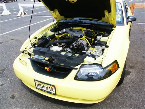 2001 Mercury Grand Marquis - This yellow 2001 Ford Mustang GT features a customized engine bay with yellow hoses and accents.