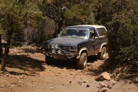 1986 Ford Bronco - This SUV navigates a rocky, wooded trail with its front end angled towards the viewer.