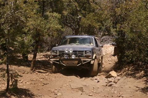 1986 Ford Bronco - Ford Bronco navigates a challenging off-road path through a forest.