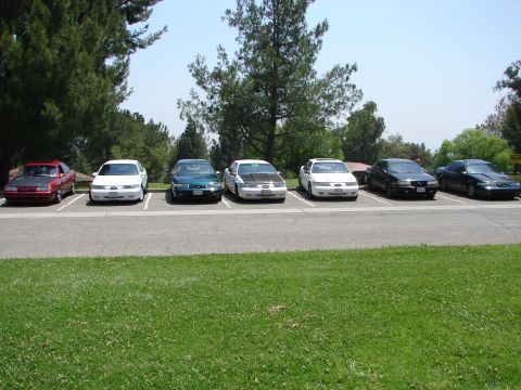 1992 Ford Taurus - A lineup of Ford Taurus sedans are parked in a lot on a sunny day, with trees and grass in the background.