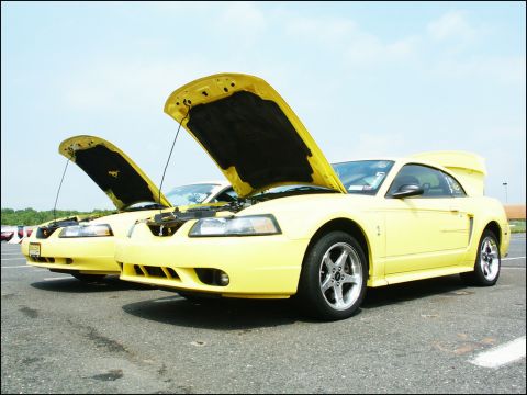 2001 Mercury Grand Marquis - Two yellow 2001 Ford Mustangs are parked side-by-side with their hoods raised at a car show.