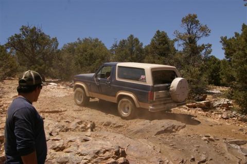1986 Ford Bronco - A blue and tan 1986 Ford Bronco navigates a dusty, rocky off-road path surrounded by trees.