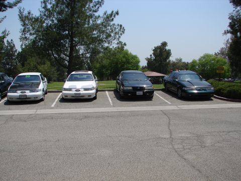 1992 Ford Taurus - Four Ford Taurus sedans are parked in a lot on a sunny day.