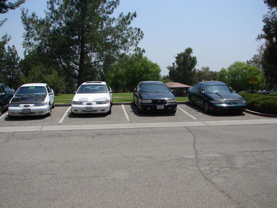 Four Ford Taurus sedans parked in a lot. Two white, one black, one dark green. The white car on the left has a black hood