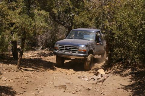1986 Ford Bronco - A blue pickup truck navigates a rough, dirt path surrounded by trees and rocks.