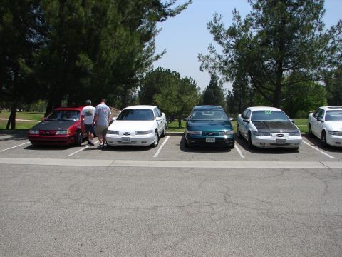 1992 Ford Taurus - Several Ford Taurus sedans are parked in a lot on a sunny day.