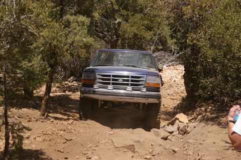 1986 Ford Bronco - Ford Bronco tackling a challenging off-road path in a wooded area.