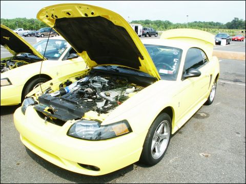 2001 Mercury Grand Marquis - Two yellow Ford Mustangs are displayed with their hoods open at a car show.