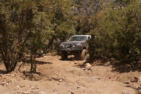 1986 Ford Bronco - A Ford Bronco navigates a , off-road path surrounded by trees and brush.