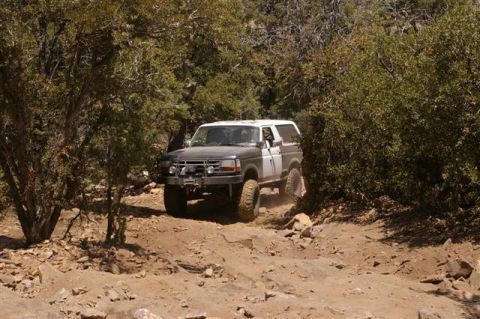 1986 Ford Bronco - This modified Ford Bronco is tackling a challenging off-road path through a wooded area.