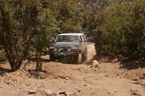 1986 Ford Bronco - A Ford Bronco navigates a challenging, off-road path surrounded by dense vegetation and rocky terrain.