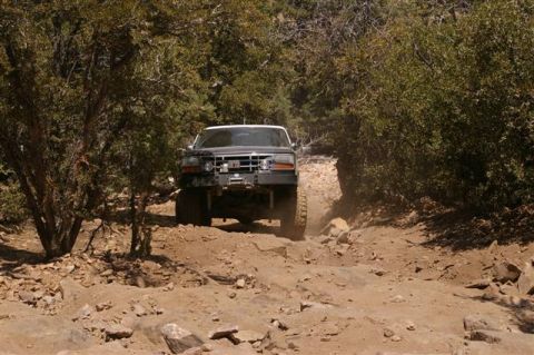 1986 Ford Bronco - A black Ford Bronco navigates a challenging, rocky off-road path surrounded by trees.