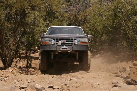 1986 Ford Bronco - This truck appears to be a Ford F-Series from the early to mid-1990s, not a 1986 Bronco.