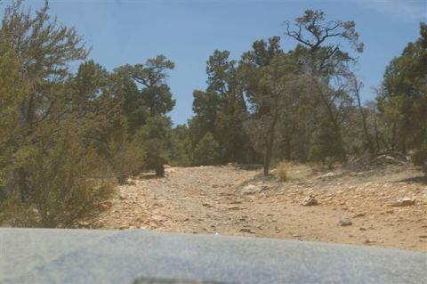 1986 Ford Bronco - A rocky dirt road winds through a wooded area on a clear day.