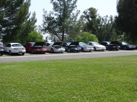 1992 Ford Taurus - A group of cars are parked in a line on a sunny day with trees in the background.