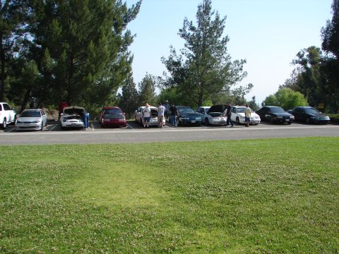 1992 Ford Taurus - A group of cars are parked in a lot during an outdoor gathering.