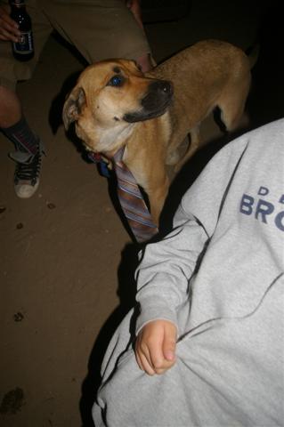 1986 Ford Bronco - A dog wearing a tie is seen with people in casual clothing.
