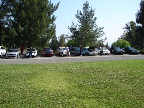 1992 Ford Taurus - A group of cars are parked in a lot on a sunny day, with people milling about.