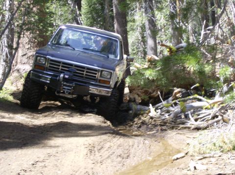 1986 Ford Bronco - This 1986 Ford Bronco is shown off-roading on a challenging dirt path through a forest.