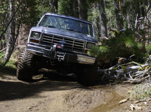 1986 Ford Bronco - This Ford Bronco navigates a challenging off-road path surrounded by dense forest.