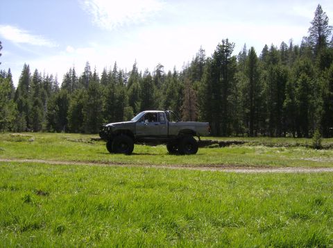 1986 Ford Bronco - A lifted pickup truck with oversized tires navigates a grassy field with a dense forest in the background.