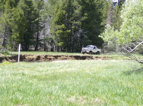 1986 Ford Bronco - Pickup truck navigates a grassy area with trees in the background.