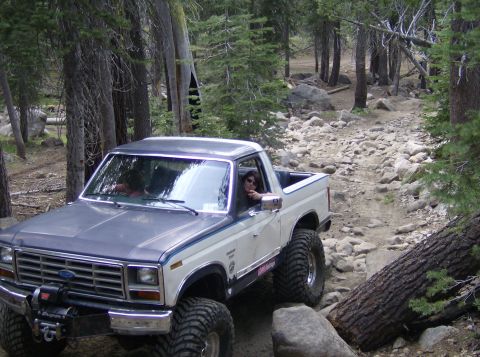 1986 Ford Bronco - A modified Ford Bronco navigates a challenging, rocky off-road path surrounded by trees.