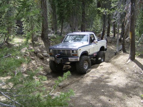 1986 Ford Bronco - Modified pickup truck navigates a wooded trail with large off-road tires.