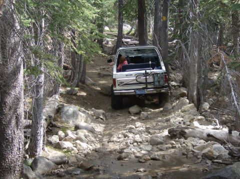 1986 Ford Bronco - A white SUV navigates a challenging, rocky path in a dense forest environment.