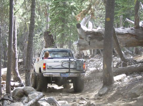 1986 Ford Bronco - 1986 Ford Bronco navigates a rocky, wooded trail with a large fallen tree blocking the path.