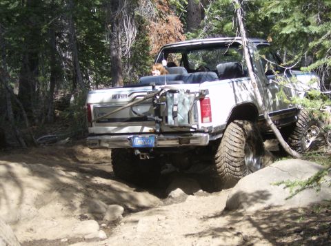 1986 Ford Bronco - This modified truck is shown off-roading on a wooded trail with a dog in the back seat.