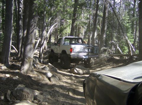 1986 Ford Bronco - White Ford Bronco navigates a challenging rocky trail through a dense forest.