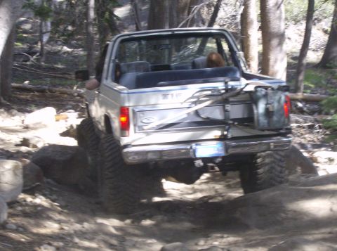1986 Ford Bronco - This 1986 Ford Bronco navigates a challenging off-road path through a wooded area.