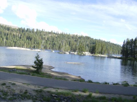 1986 Ford Bronco - A scenic view of a lake surrounded by a dense forest, with a paved road visible in the foreground.