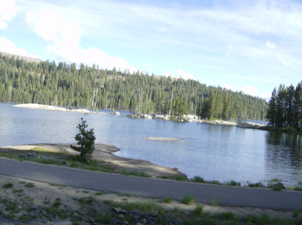 Lake and forest scene with a road in the foreground